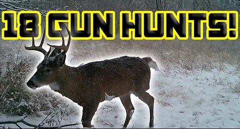 18 Gun Hunts in 10 Minutes!