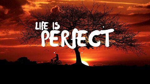 life is perfect new song