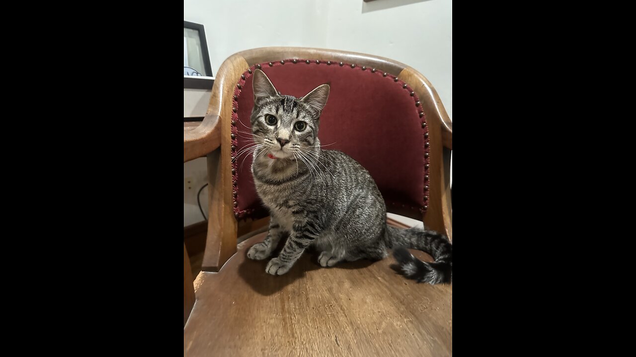 Episode 3074 - The Scott Adams School 01/16/26