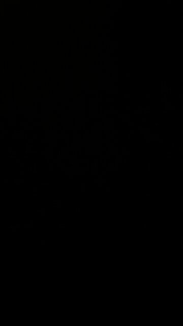 External Revenue Service