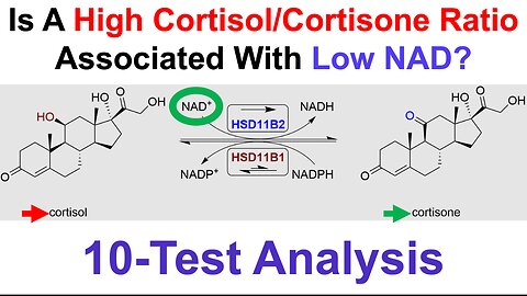 Cortisol Increases During Aging: A Sign Of Low NAD?