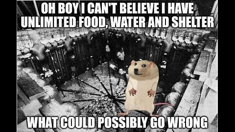 Governmental are killing everyone with insanity and toxic crap
