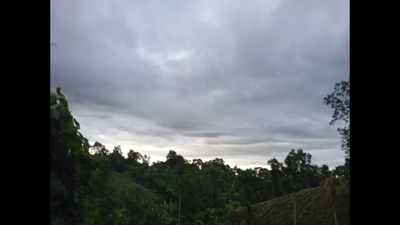 Nature lover raise your hand on comment and please follow me. 🙏🙏🥺