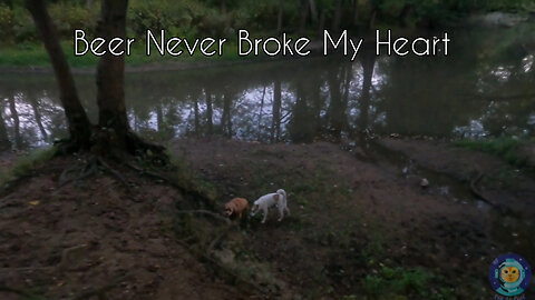 Beer Never Broke My Heart