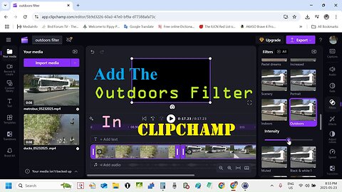 Add The Outdoors Filter In Clipchamp