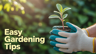Beginner Gardening 101: Start Your Garden Today!