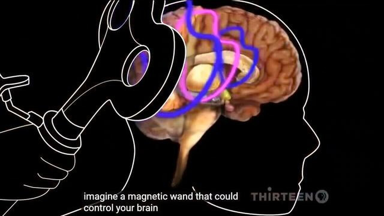 How Electro Magnetic Pulses/Frequencies Affect our Behaviour