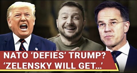 BIG! NATO Shocker For Trump; ‘Zelensky Will Get…’: Bloc ‘Defies’ US Despite Direct Warning