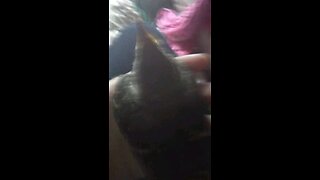 rescued bird wants to eat the camera