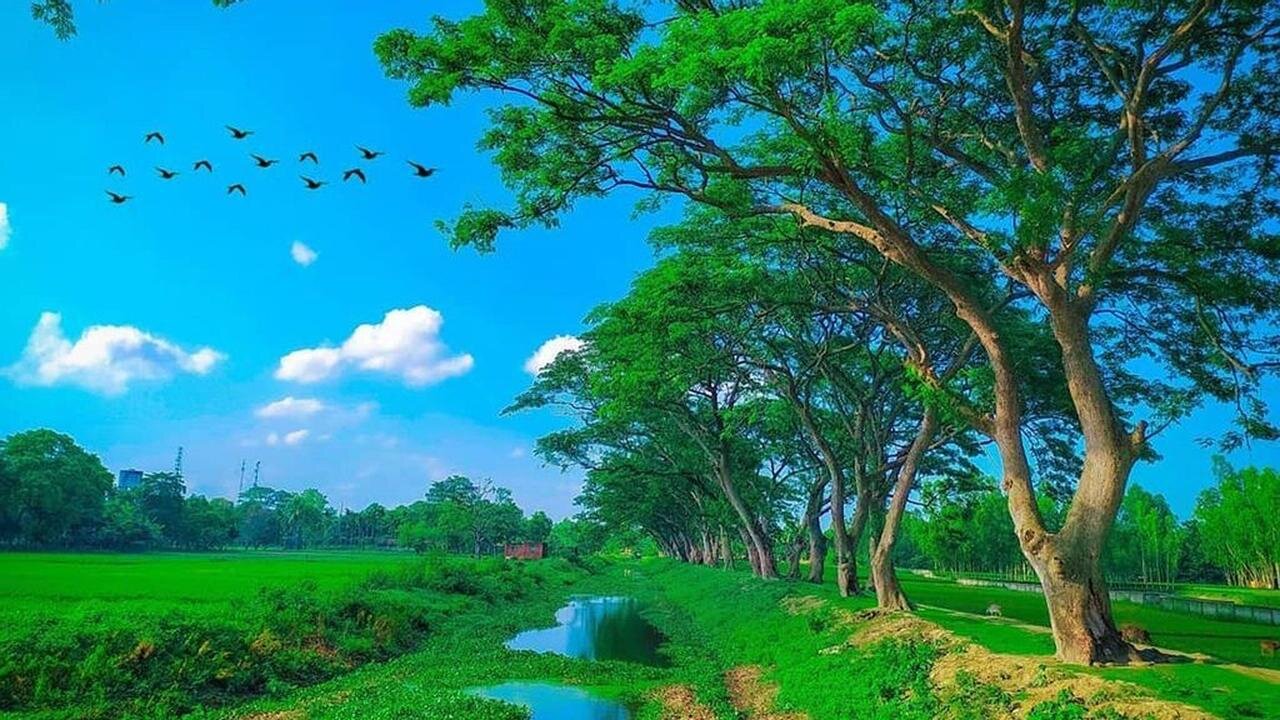 Natural beauty of Bangladesh