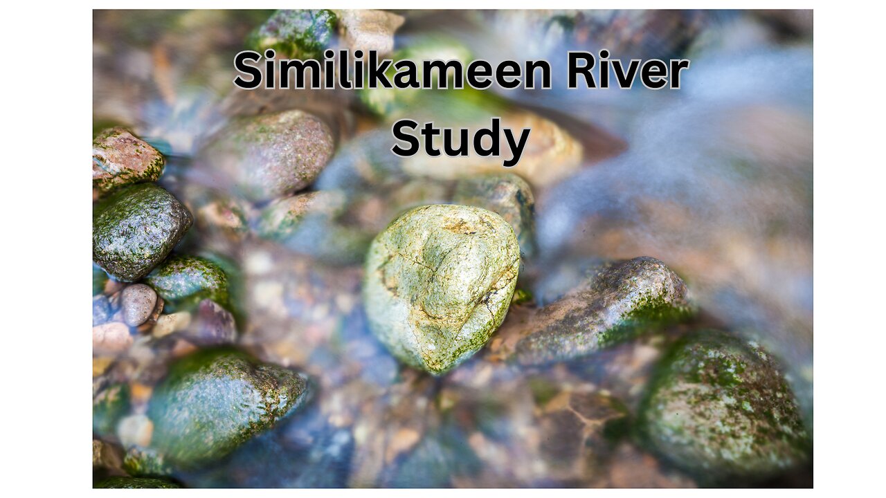 Similikameen River Study