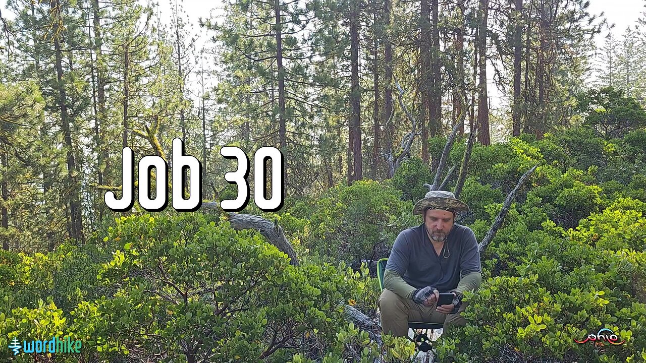 Job 30