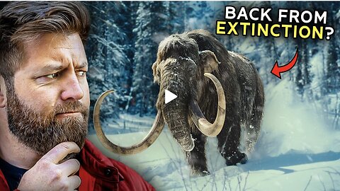 Science Wants to bring Back the Woolly Mammoth For a Reason