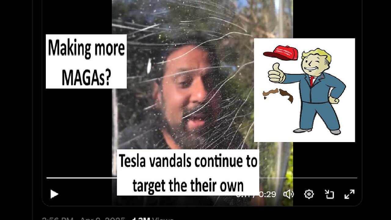 Leftist continue to damage Teslas, ironically mostly owned by Democrats