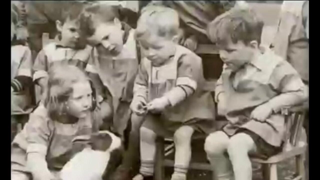 Onze Band met Dieren