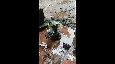 shiv puja
