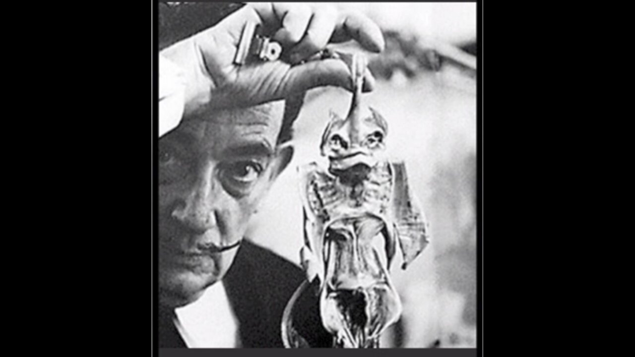 Different Types Of Reptiles