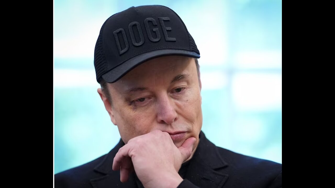 Musk 'DOGE Became the Whipping Boy'