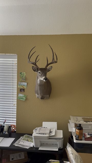 Got my BIGGEST BUCK back