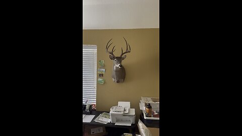 Got my BIGGEST BUCK back