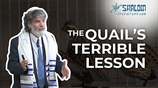 Numbers 11: The Quail's Deadly Lesson | Shalom Adventures
