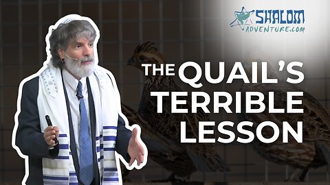 Numbers 11: The Quail's Deadly Lesson | Shalom Adventures