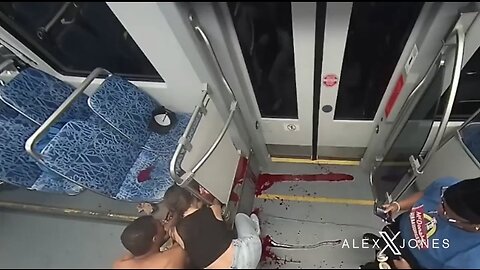 GRAPHIC: Iryna Zarutska’s Final Moments – Attack Caught on Camera