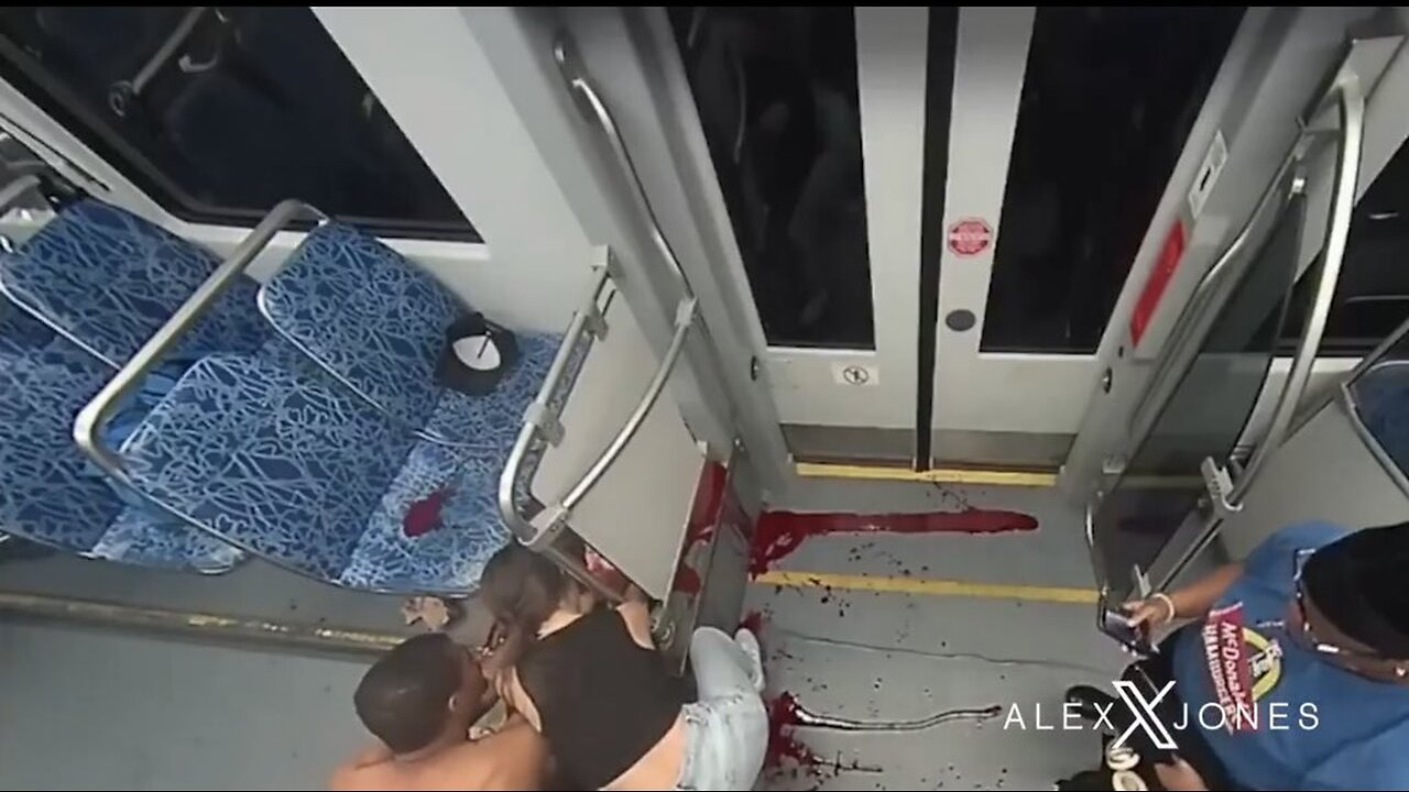 GRAPHIC: Iryna Zarutska’s Final Moments – Attack Caught on Camera