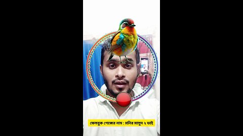 ২ পাখির মাথাটি জোড়া লাগান ৮৭ 🧩✅ #reels #puzzle #foryou #viral #tending