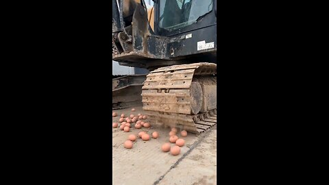 top one mystery egg from china