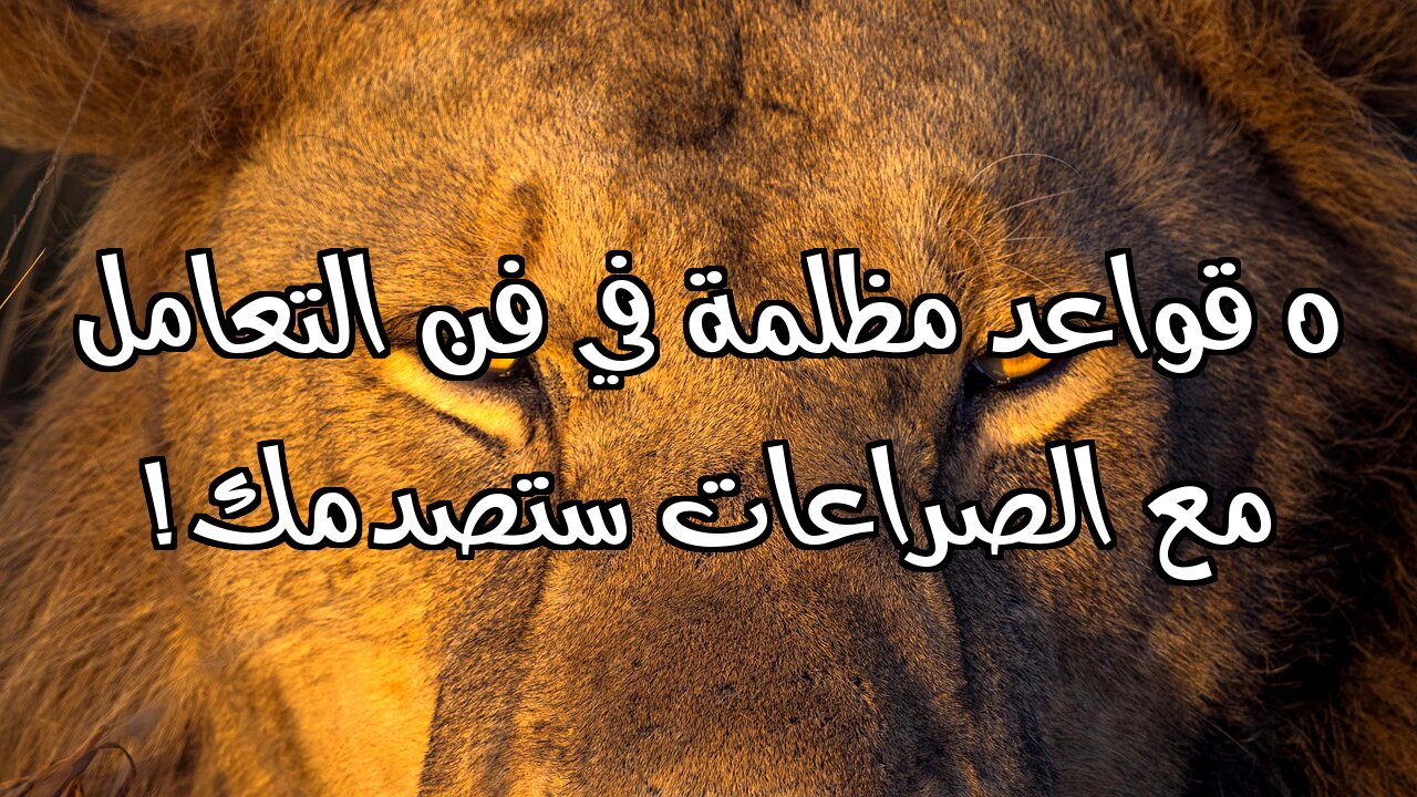 ٥ قواعد مظلمة في فن التعامل مع الصراعات ستصدمك!