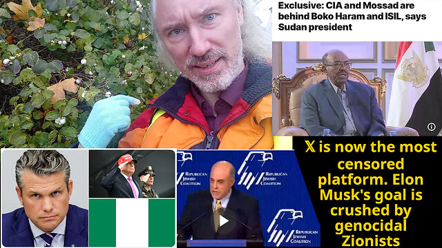 Universal high income. Sudden Slavs; New society now? Dominate wolves bad. Zionist rage. D66 weird