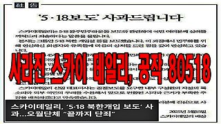 사라진 스카이 데일리, 공작 80518