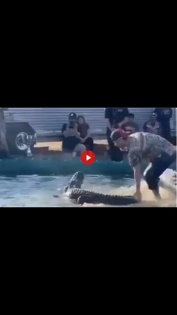 So a dumb ass sticks his foot in a gators mouth...guess what happens.