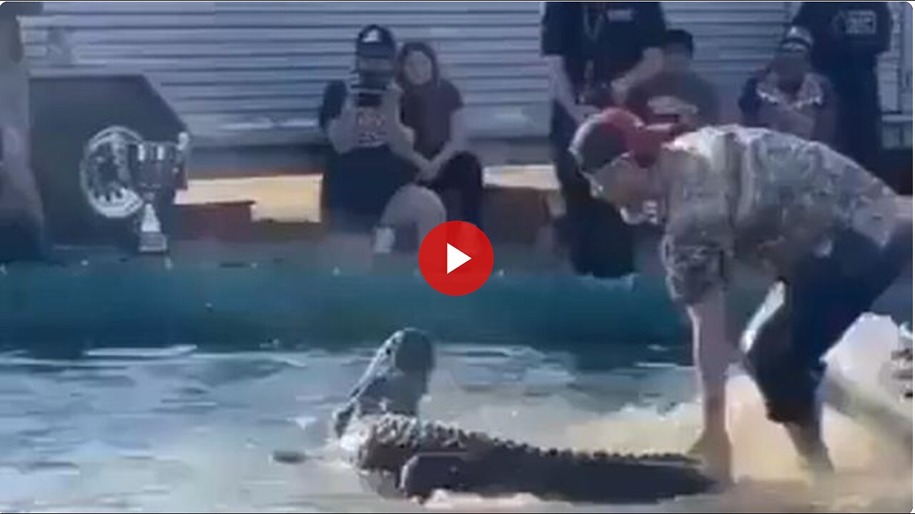 So a dumb ass sticks his foot in a gators mouth...guess what happens.