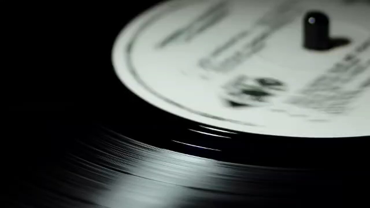 VOTE ON THE LIST ON THE VIDEO OF PUNK GIGS YOU HAVE ATTENDED.