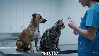 Pets Are Being Injected With Self Amplifying mRNA "Vaccines"