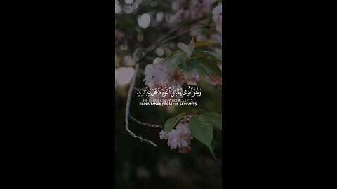 🔥Surah Ash-Shūrā 42:25 He ACCEPTS Your Regret! 🤲✨ 🔥سورہ الشوریٰ آیت 25 — اللہ توبہ قبول کرتا ہے