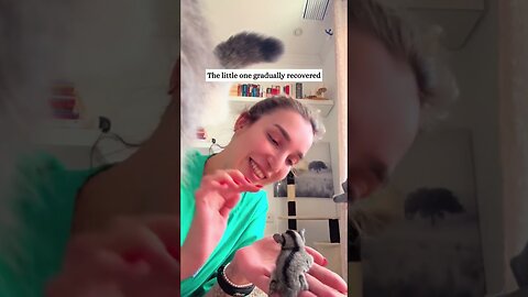 The girl found an unusual beast on the road and saved him