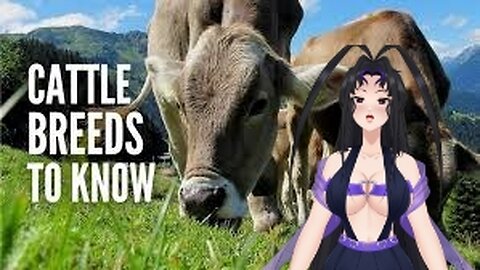 Goddess Reacts: Types of Cows