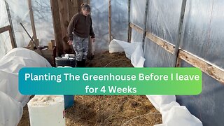 How To Plant A Greenhouse That Grows While You're Away?