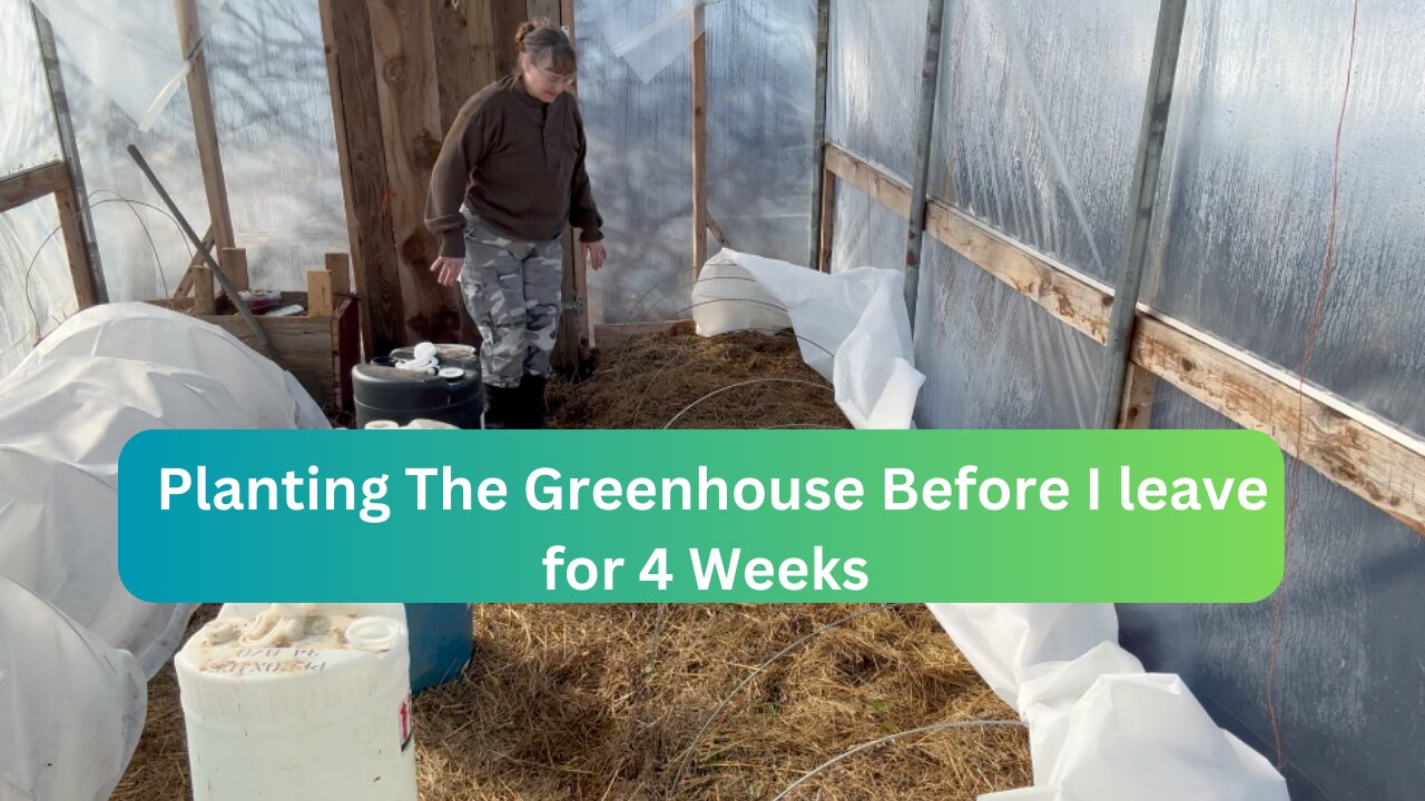 How To Plant A Greenhouse That Grows While You're Away?