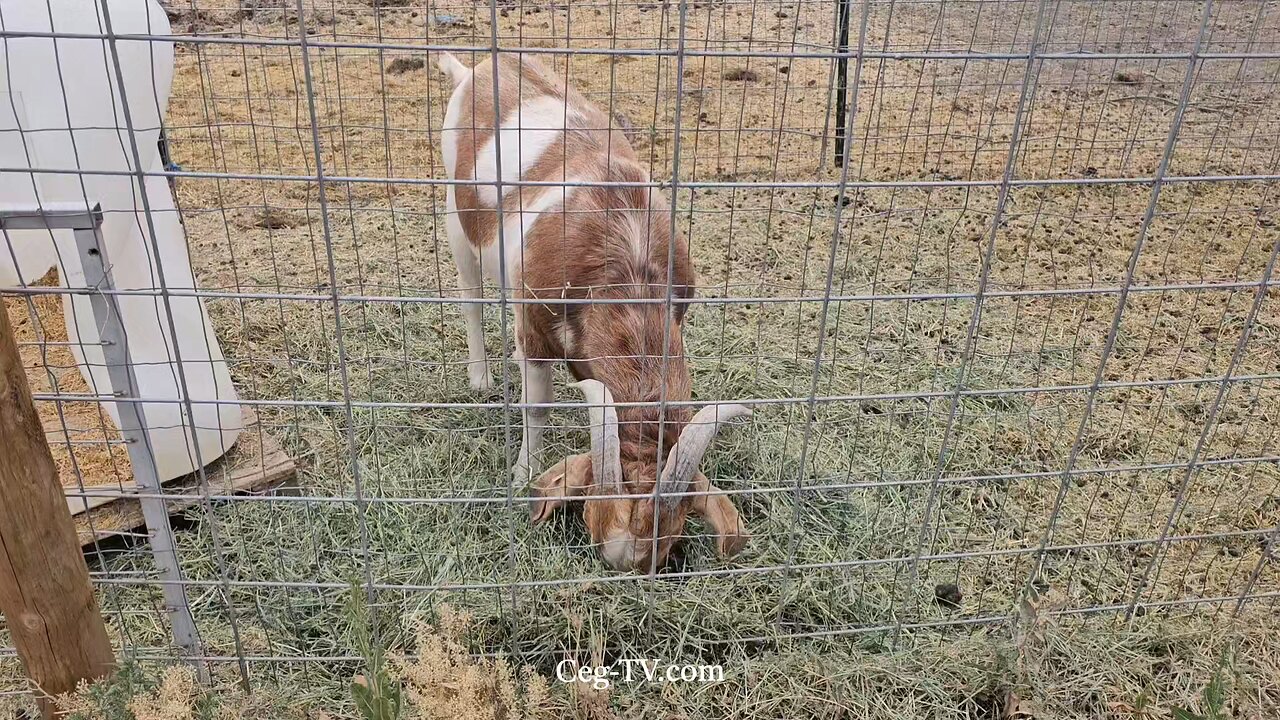 Graham Family Farm NW: 11:00 AM July 21 2025