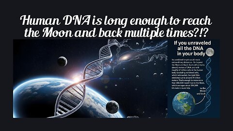 Fun Fact for July 20th 2025 Pt 1