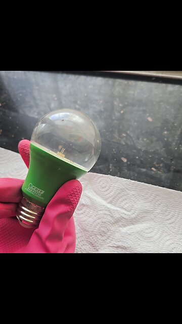 I found sanisi lightbulbs with microphone bugged in my house