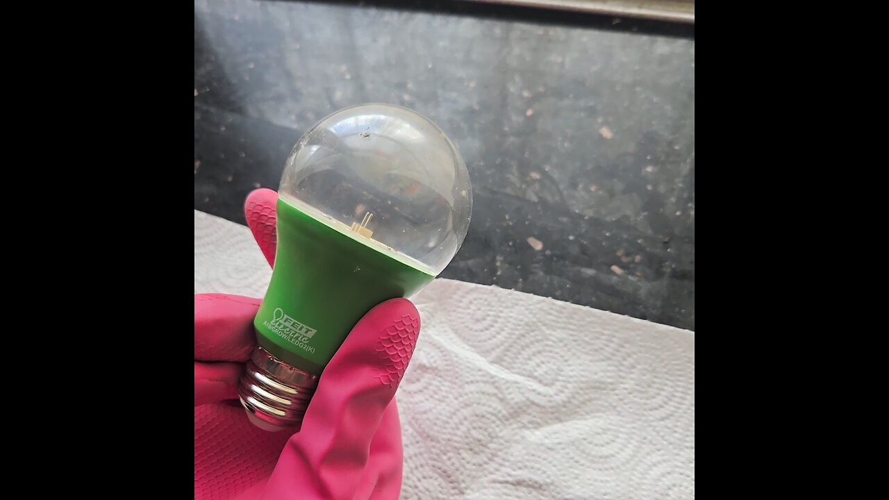 I found sanisi lightbulbs with microphone bugged in my house