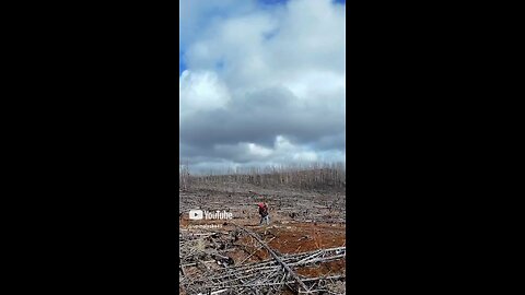 DJI Neo #Subscribe #Upinalaska #Alaska #Outdoors #Nature #Hiking #Camping #Mountains #DJIneo #ASMR