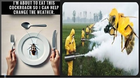 Corporate Governments Out to kill thieve divide decieve & destroy