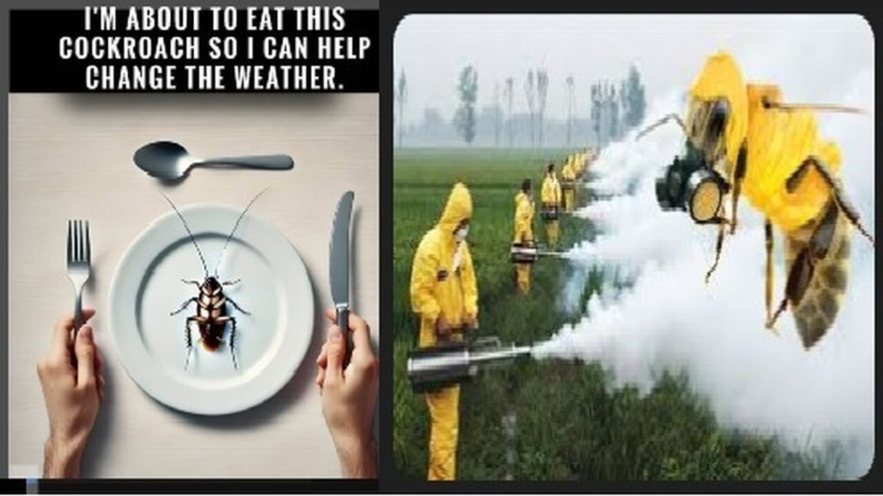 Corporate Governments Out to kill thieve divide decieve & destroy