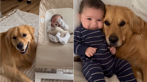 Baby + Dog = Unbreakable Bond 🥰🐕👶